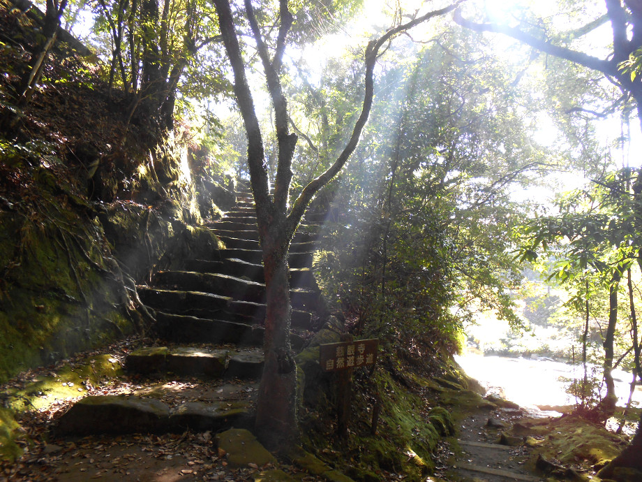 鹿児島の自然豊かな慈眼寺公園